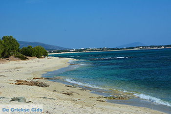 Kastraki Naxos - Cycladen Griekenland- nr 7 - Foto van https://www.grieksegids.nl/fotos/naxos/normaal/kastraki-naxos-007.jpg