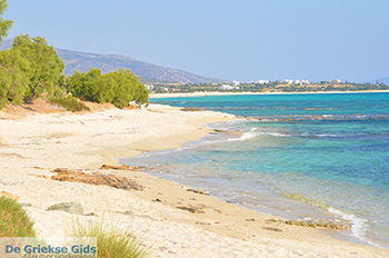 Kastraki Naxos - Cycladen Griekenland- nr 26 - Foto van https://www.grieksegids.nl/fotos/naxos/normaal/kastraki-naxos-026.jpg