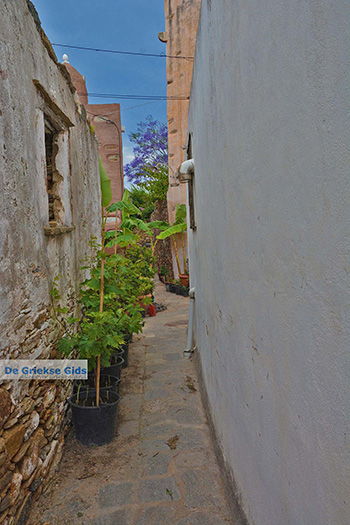 Kato Sangri Naxos - Cycladen Griekenland- nr 8 - Foto van https://www.grieksegids.nl/fotos/naxos/normaal/kato-sangri-naxos-008.jpg