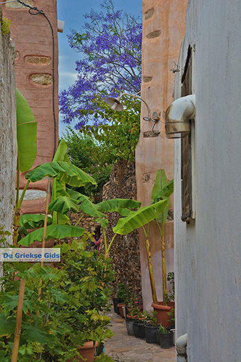 Kato Sangri Naxos - Cycladen Griekenland- nr 9 - Foto van https://www.grieksegids.nl/fotos/naxos/normaal/kato-sangri-naxos-009.jpg