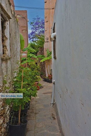 Kato Sangri Naxos - Cycladen Griekenland- nr 10 - Foto van https://www.grieksegids.nl/fotos/naxos/normaal/kato-sangri-naxos-010.jpg