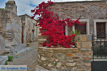 Kato Sangri Naxos - Kykladen Griechenland- nr 11 - Foto von GriechenlandWeb.de