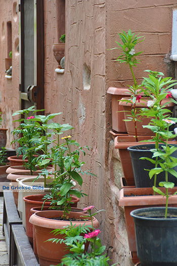 Kato Sangri Naxos - Cycladen Griekenland- nr 22 - Foto van https://www.grieksegids.nl/fotos/naxos/normaal/kato-sangri-naxos-022.jpg