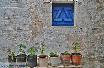 Kato Sangri Naxos - Cycladen Griekenland- nr 24 - Foto van https://www.grieksegids.nl/fotos/naxos/normaal/kato-sangri-naxos-024.jpg