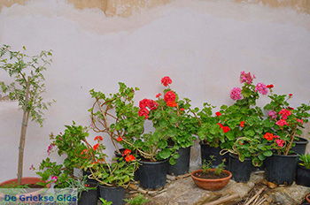 Kato Sangri Naxos - Cycladen Griekenland- nr 30 - Foto van https://www.grieksegids.nl/fotos/naxos/normaal/kato-sangri-naxos-030.jpg