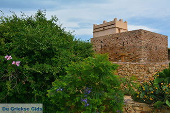 Kato Sangri Naxos - Cycladen Griekenland- nr 33 - Foto van https://www.grieksegids.nl/fotos/naxos/normaal/kato-sangri-naxos-033.jpg