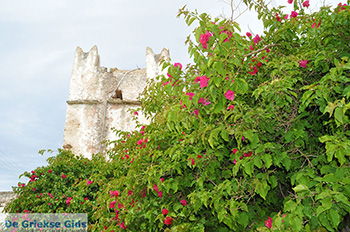 Kato Sangri Naxos - Cycladen Griekenland- nr 42 - Foto van https://www.grieksegids.nl/fotos/naxos/normaal/kato-sangri-naxos-042.jpg