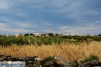 Kato Sangri Naxos - Cycladen Griekenland- nr 53 - Foto van https://www.grieksegids.nl/fotos/naxos/normaal/kato-sangri-naxos-053.jpg