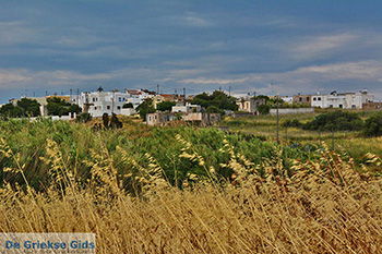 Kato Sangri Naxos - Cycladen Griekenland- nr 56 - Foto van https://www.grieksegids.nl/fotos/naxos/normaal/kato-sangri-naxos-056.jpg