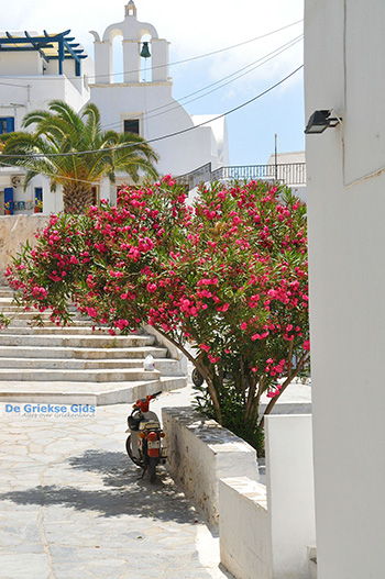 Naxos stad - Cycladen Griekenland - nr 6 - Foto van https://www.grieksegids.nl/fotos/naxos/normaal/naxos-stad-006.jpg