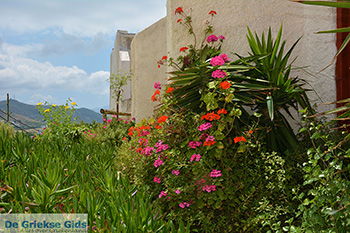 Naxos stad - Cycladen Griekenland - nr 43 - Foto van https://www.grieksegids.nl/fotos/naxos/normaal/naxos-stad-043.jpg
