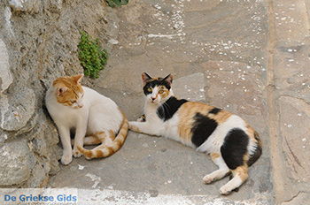 Naxos stad - Cycladen Griekenland - nr 46 - Foto van https://www.grieksegids.nl/fotos/naxos/normaal/naxos-stad-046.jpg