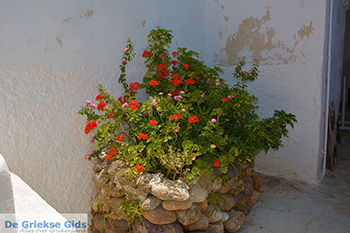 Naxos stad - Cycladen Griekenland - nr 121 - Foto van https://www.grieksegids.nl/fotos/naxos/normaal/naxos-stad-121.jpg