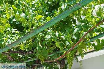 Naxos stad - Cycladen Griekenland - nr 205 - Foto van https://www.grieksegids.nl/fotos/naxos/normaal/naxos-stad-205.jpg