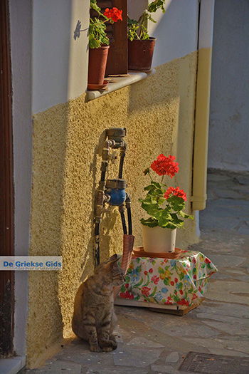 Naxos stad - Cycladen Griekenland - nr 299 - Foto van https://www.grieksegids.nl/fotos/naxos/normaal/naxos-stad-299.jpg