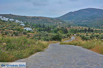 Potamia Naxos - Cycladen Griekenland - nr 4 - Foto van https://www.grieksegids.nl/fotos/naxos/normaal/potamia-naxos-004.jpg