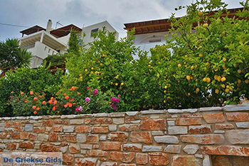 Potamia Naxos - Cycladen Griekenland - nr 9 - Foto van https://www.grieksegids.nl/fotos/naxos/normaal/potamia-naxos-009.jpg