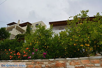 Potamia Naxos - Cycladen Griekenland - nr 10 - Foto van https://www.grieksegids.nl/fotos/naxos/normaal/potamia-naxos-010.jpg