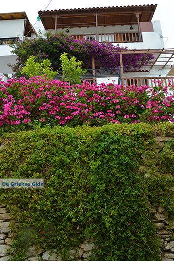 Potamia Naxos - Cycladen Griekenland - nr 11 - Foto van https://www.grieksegids.nl/fotos/naxos/normaal/potamia-naxos-011.jpg