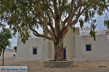 Potamia Naxos - Cycladen Griekenland - nr 20 - Foto van https://www.grieksegids.nl/fotos/naxos/normaal/potamia-naxos-020.jpg