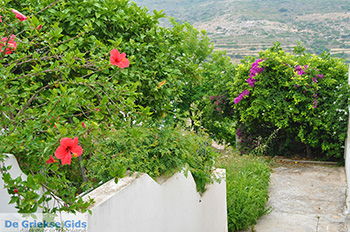 Potamia Naxos - Cycladen Griekenland - nr 34 - Foto van https://www.grieksegids.nl/fotos/naxos/normaal/potamia-naxos-034.jpg