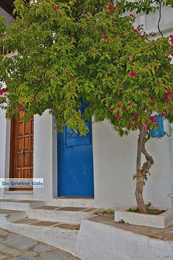 Potamia Naxos - Cycladen Griekenland - nr 36 - Foto van https://www.grieksegids.nl/fotos/naxos/normaal/potamia-naxos-036.jpg
