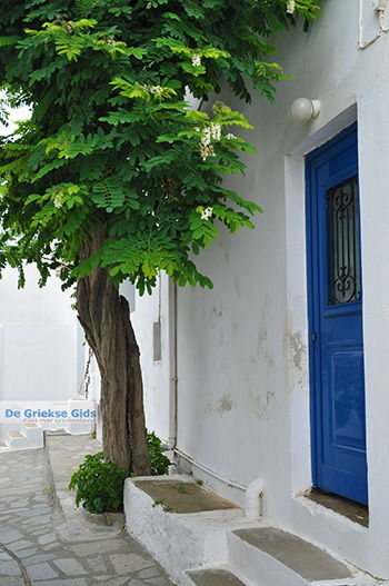 Potamia Naxos - Cycladen Griekenland - nr 37 - Foto van https://www.grieksegids.nl/fotos/naxos/normaal/potamia-naxos-037.jpg