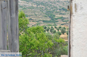 Potamia Naxos - Cycladen Griekenland - nr 41 - Foto van https://www.grieksegids.nl/fotos/naxos/normaal/potamia-naxos-041.jpg