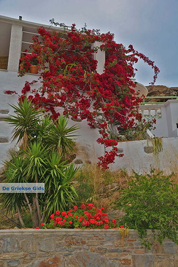 Potamia Naxos - Cycladen Griekenland - nr 50 - Foto van https://www.grieksegids.nl/fotos/naxos/normaal/potamia-naxos-050.jpg