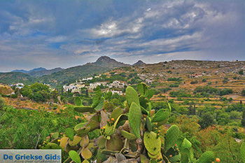 Potamia Naxos - Cycladen Griekenland - nr 58 - Foto van https://www.grieksegids.nl/fotos/naxos/normaal/potamia-naxos-058.jpg