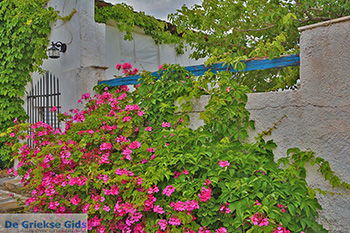 Potamia Naxos - Cycladen Griekenland - nr 59 - Foto van https://www.grieksegids.nl/fotos/naxos/normaal/potamia-naxos-059.jpg