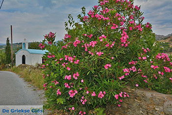Potamia Naxos - Cycladen Griekenland - nr 60 - Foto van https://www.grieksegids.nl/fotos/naxos/normaal/potamia-naxos-060.jpg
