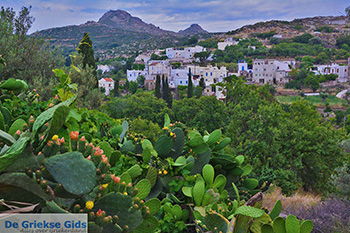 Potamia Naxos - Cycladen Griekenland - nr 65 - Foto van https://www.grieksegids.nl/fotos/naxos/normaal/potamia-naxos-065.jpg