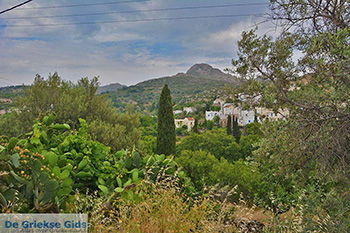 Potamia Naxos - Cycladen Griekenland - nr 66 - Foto van https://www.grieksegids.nl/fotos/naxos/normaal/potamia-naxos-066.jpg