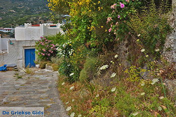 Potamia Naxos - Cycladen Griekenland - nr 70 - Foto van https://www.grieksegids.nl/fotos/naxos/normaal/potamia-naxos-070.jpg