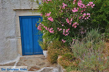 Potamia Naxos - Cycladen Griekenland - nr 71 - Foto van https://www.grieksegids.nl/fotos/naxos/normaal/potamia-naxos-071.jpg