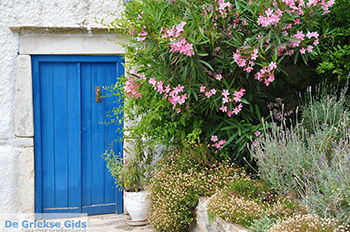 Potamia Naxos - Cycladen Griekenland - nr 78 - Foto van https://www.grieksegids.nl/fotos/naxos/normaal/potamia-naxos-078.jpg