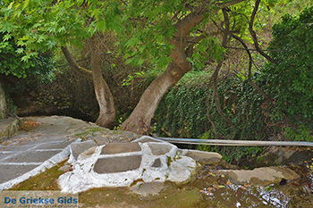 Potamia Naxos - Cycladen Griekenland - nr 82 - Foto van https://www.grieksegids.nl/fotos/naxos/normaal/potamia-naxos-082.jpg