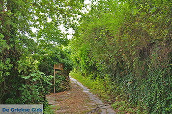 Potamia Naxos - Cycladen Griekenland - nr 91 - Foto van https://www.grieksegids.nl/fotos/naxos/normaal/potamia-naxos-091.jpg