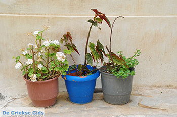 Potamia Naxos - Cycladen Griekenland - nr 92 - Foto van https://www.grieksegids.nl/fotos/naxos/normaal/potamia-naxos-092.jpg