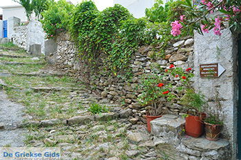 Potamia Naxos - Kykladen Griechenland - nr 94 - Foto von GriechenlandWeb.de