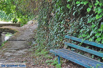 Potamia Naxos - Cycladen Griekenland - nr 99 - Foto van https://www.grieksegids.nl/fotos/naxos/normaal/potamia-naxos-099.jpg