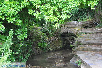 Potamia Naxos - Cycladen Griekenland - nr 100 - Foto van https://www.grieksegids.nl/fotos/naxos/normaal/potamia-naxos-100.jpg