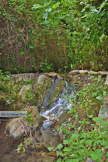 Potamia Naxos - Cycladen Griekenland - nr 109 - Foto van https://www.grieksegids.nl/fotos/naxos/normaal/potamia-naxos-109.jpg