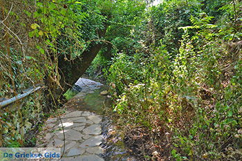 Potamia Naxos - Cycladen Griekenland - nr 110 - Foto van https://www.grieksegids.nl/fotos/naxos/normaal/potamia-naxos-110.jpg