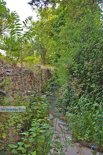 Potamia Naxos - Cycladen Griekenland - nr 112 - Foto van https://www.grieksegids.nl/fotos/naxos/normaal/potamia-naxos-112.jpg