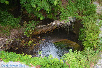 Potamia Naxos - Cycladen Griekenland - nr 114 - Foto van https://www.grieksegids.nl/fotos/naxos/normaal/potamia-naxos-114.jpg
