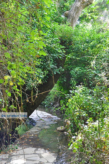 Potamia Naxos - Cycladen Griekenland - nr 116 - Foto van https://www.grieksegids.nl/fotos/naxos/normaal/potamia-naxos-116.jpg