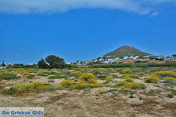 Stelida Naxos - Cycladen Griekenland - nr  4 - Foto van https://www.grieksegids.nl/fotos/naxos/normaal/stelida-naxos-004.jpg