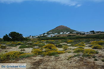 Stelida Naxos - Cycladen Griekenland - nr  5 - Foto van https://www.grieksegids.nl/fotos/naxos/normaal/stelida-naxos-005.jpg
